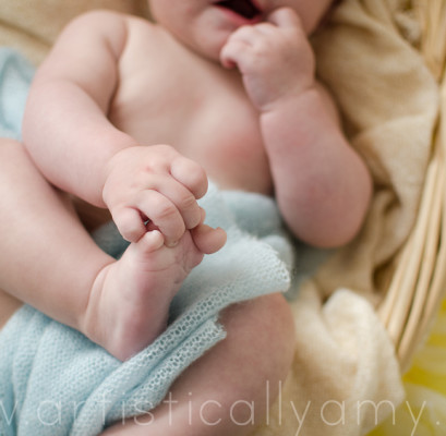 putnam county baby photographer